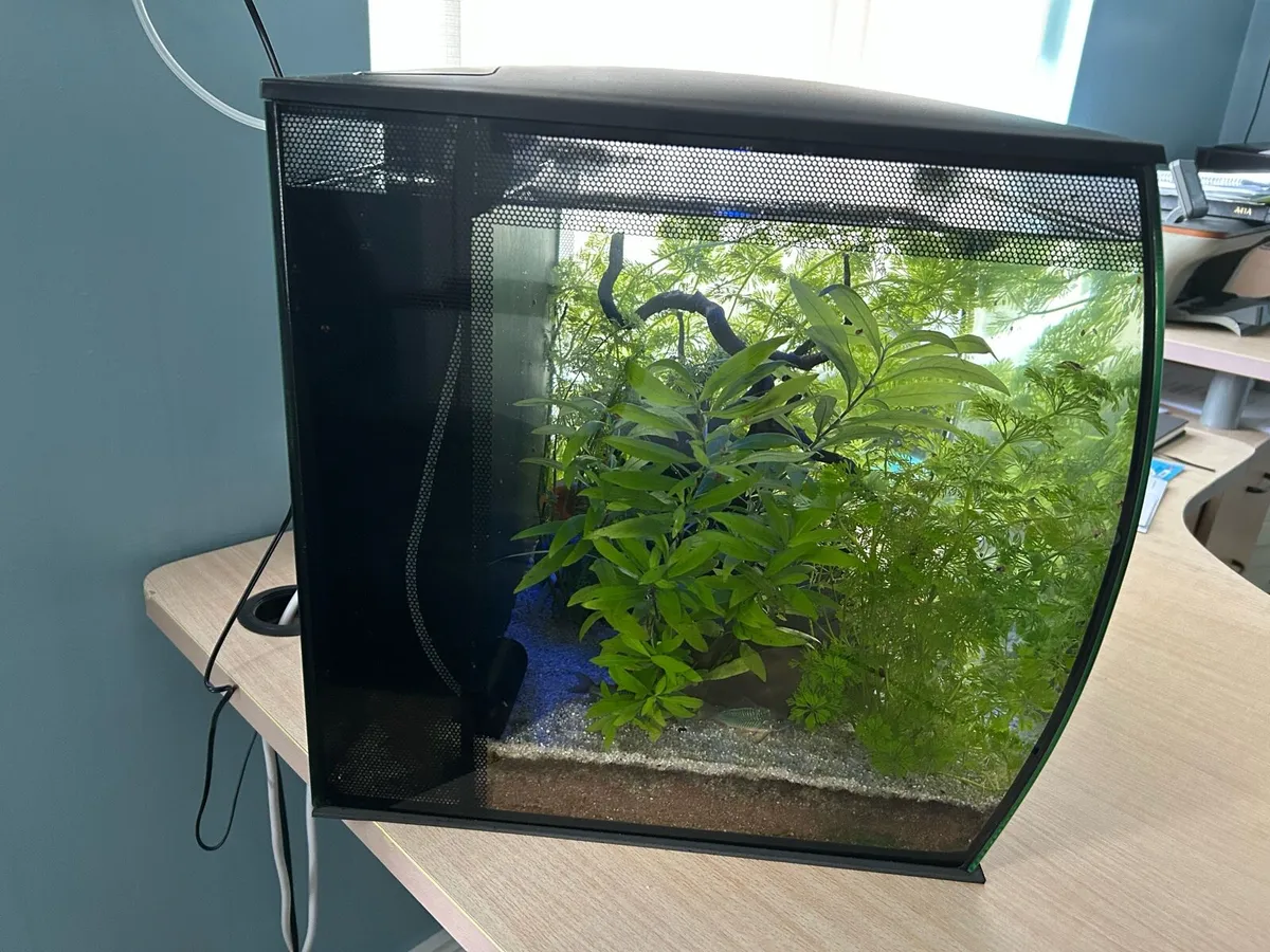 Fluval Flex 57L - Image 3