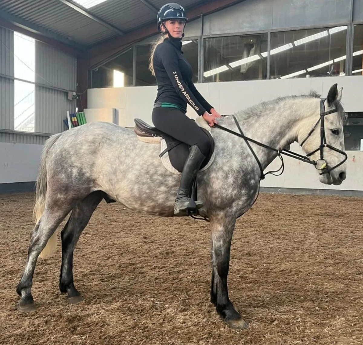 Lot 158 Clifden Friday....4 yr old Gelding - Image 2