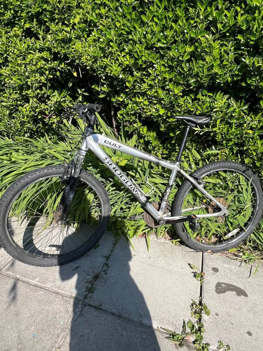 Bike - Image 1