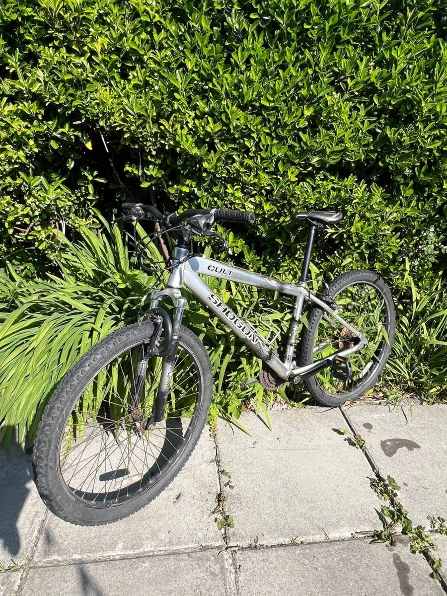 Bike - Image 2