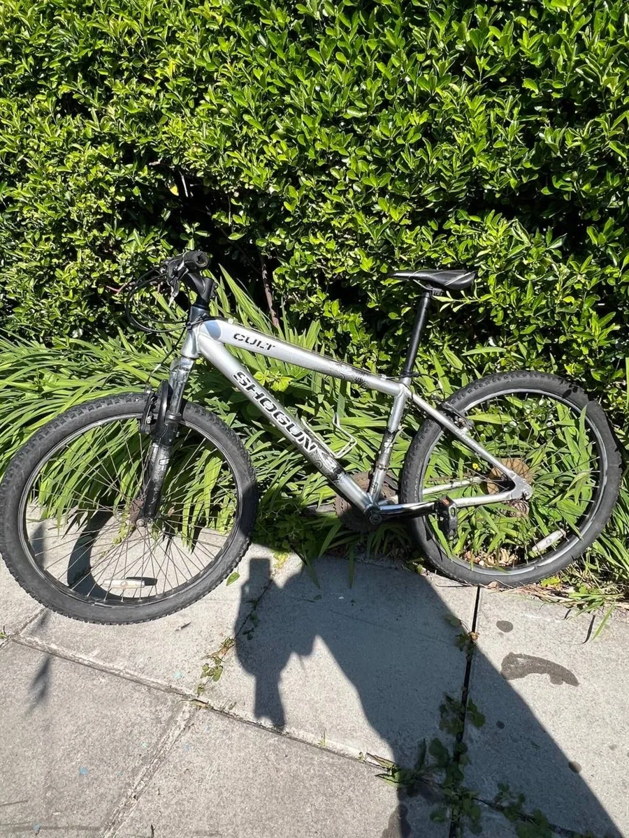 Bike - Image 3