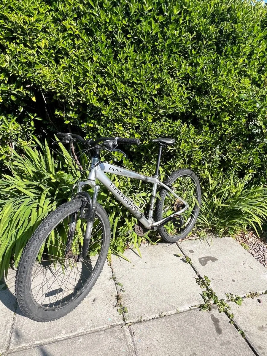 Bike - Image 4