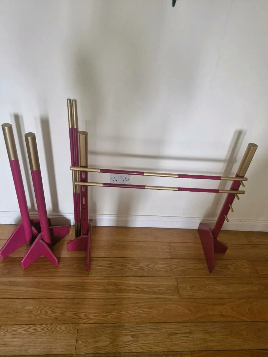 Hobby Horse Jumps - Image 1