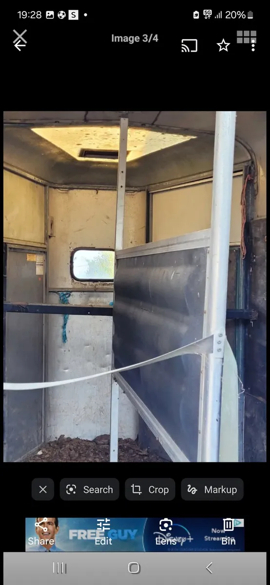 Horse box - Image 4