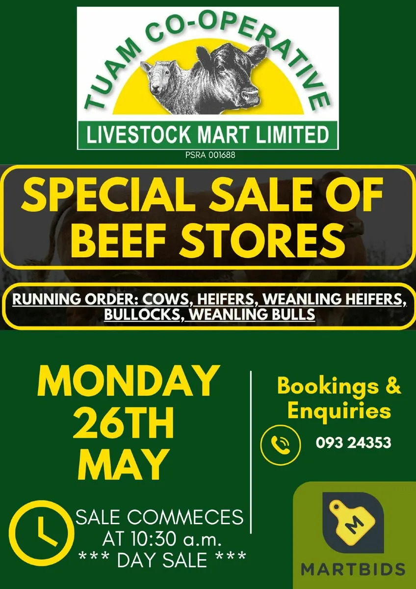 SPECIAL SALE OF BEEF STORES - Tuam Mart 26th May