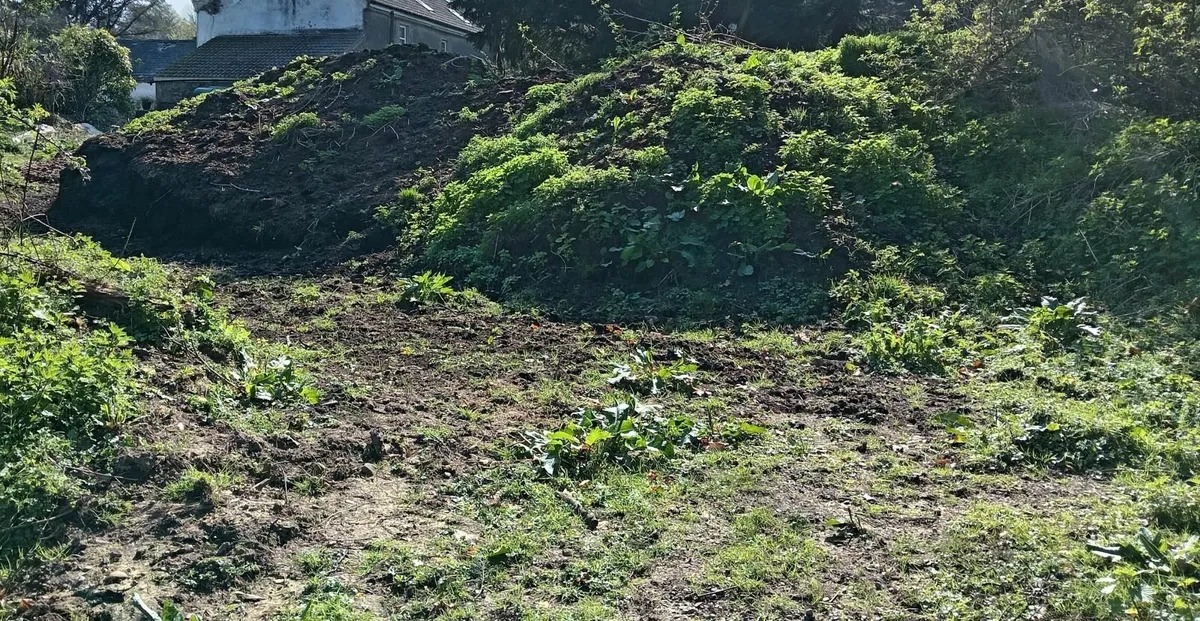 Very well composted horses manure