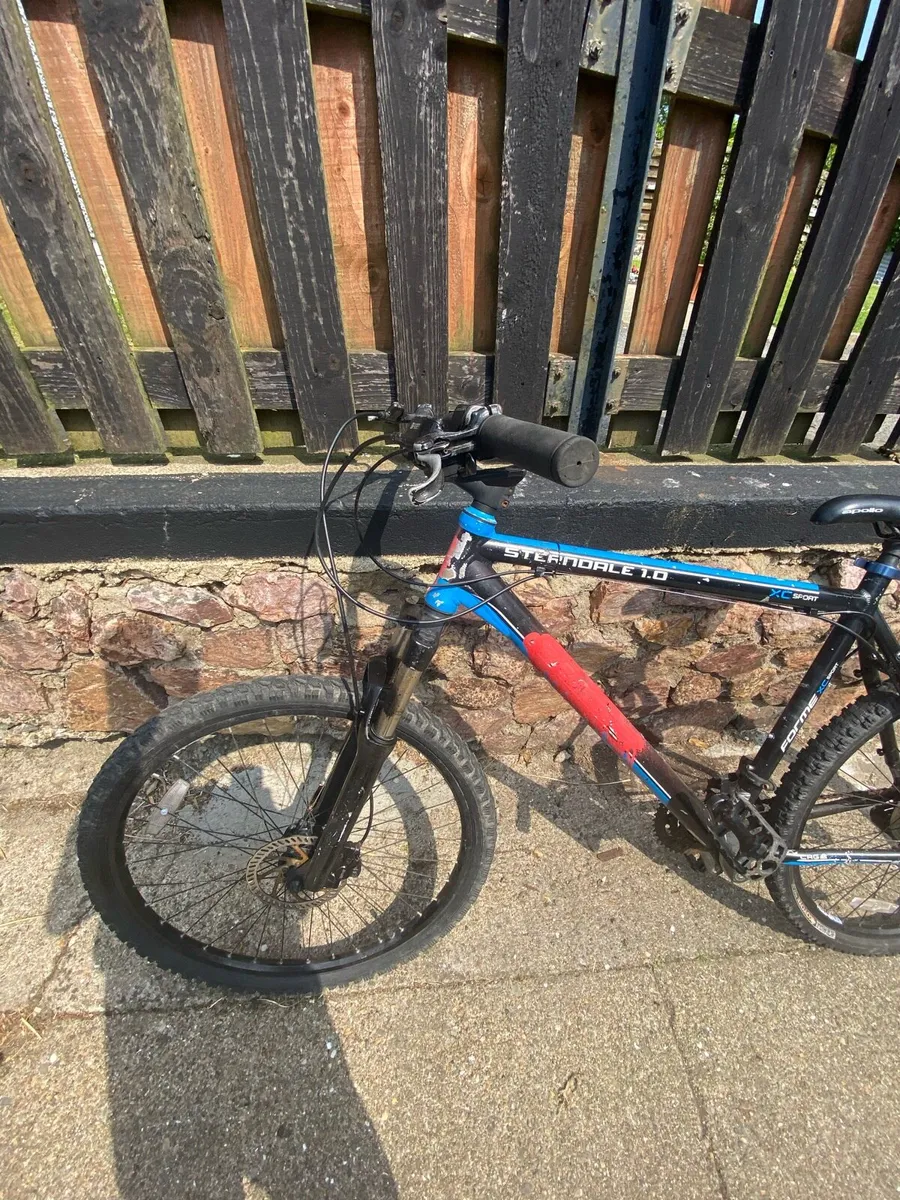 Forme bike - Image 4