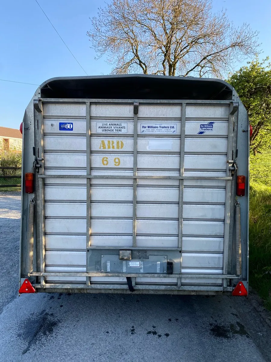 2018 Ifor Williams TA510G (12x6) Livestock Trailer - Image 3