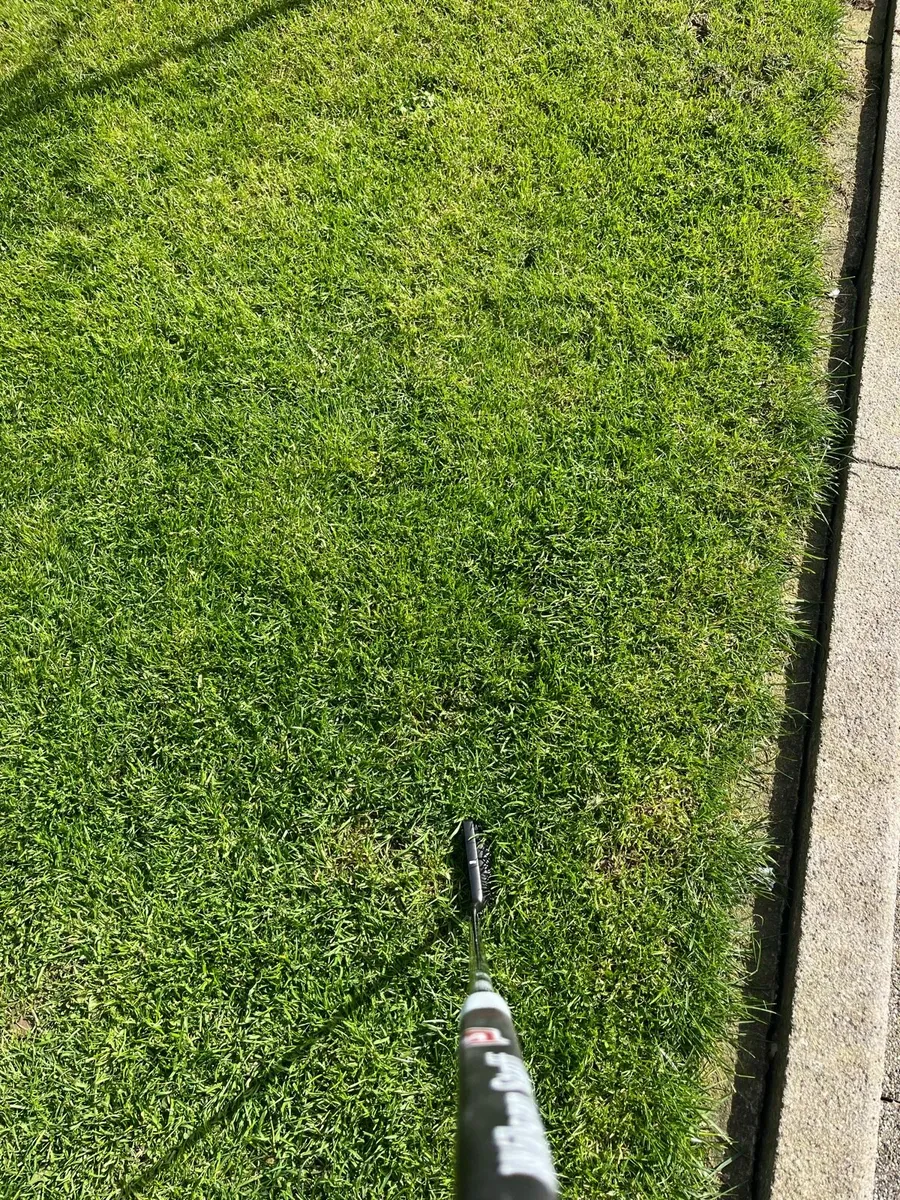 Putter - Image 4