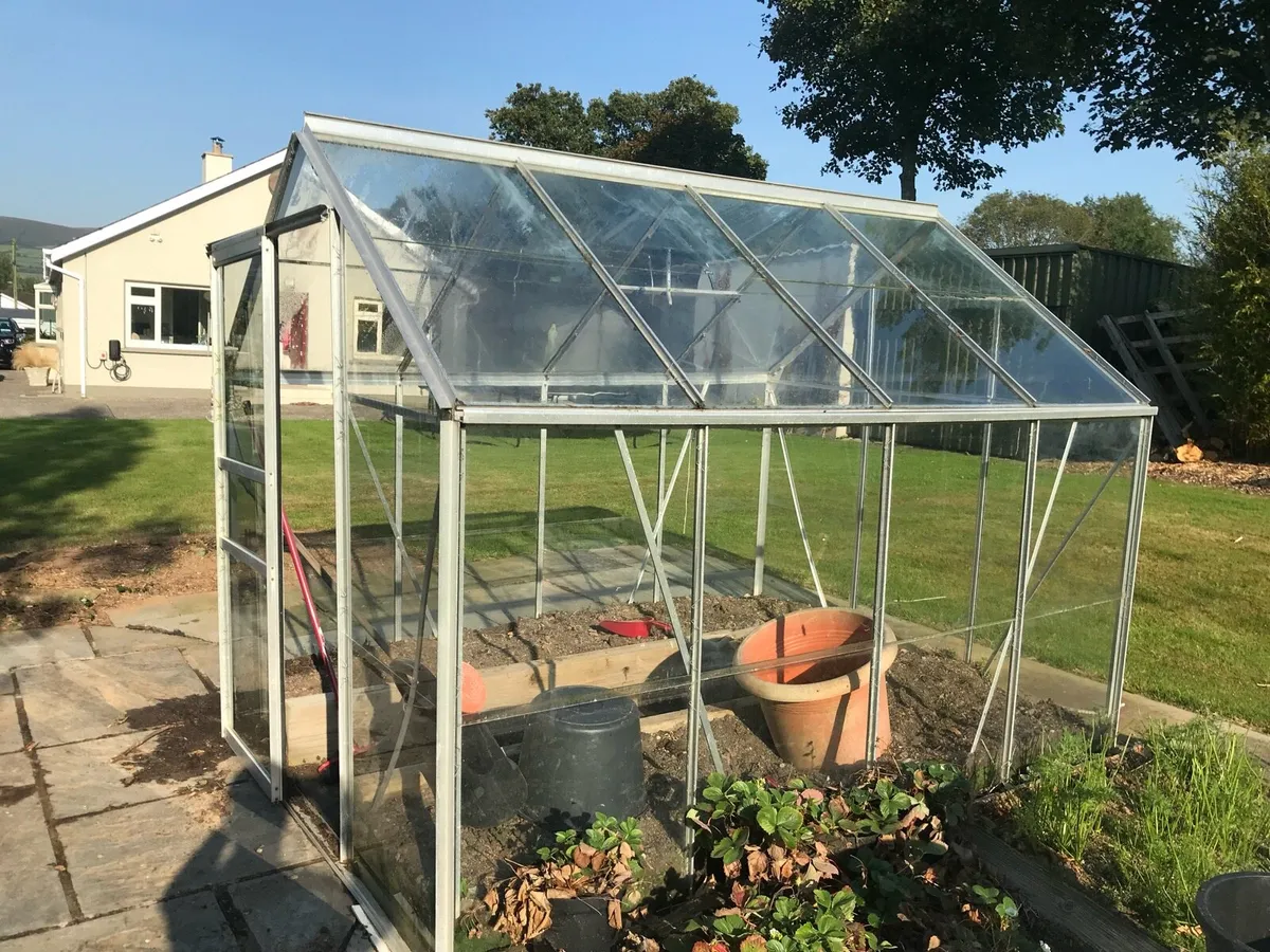 Glass House/Green House - Image 2