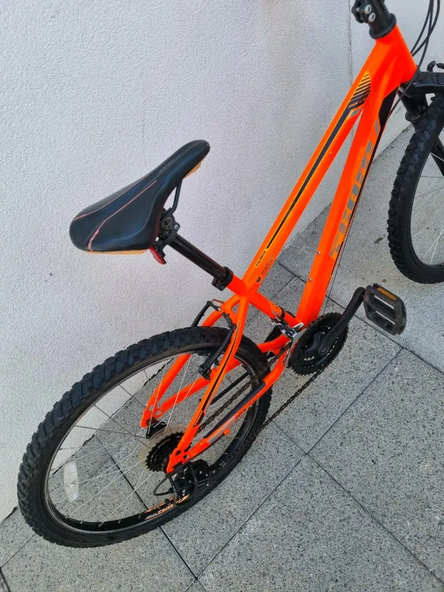 Bicycle TEAM - Image 4