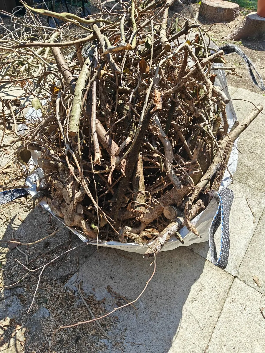 Kindling/firewood - Image 2