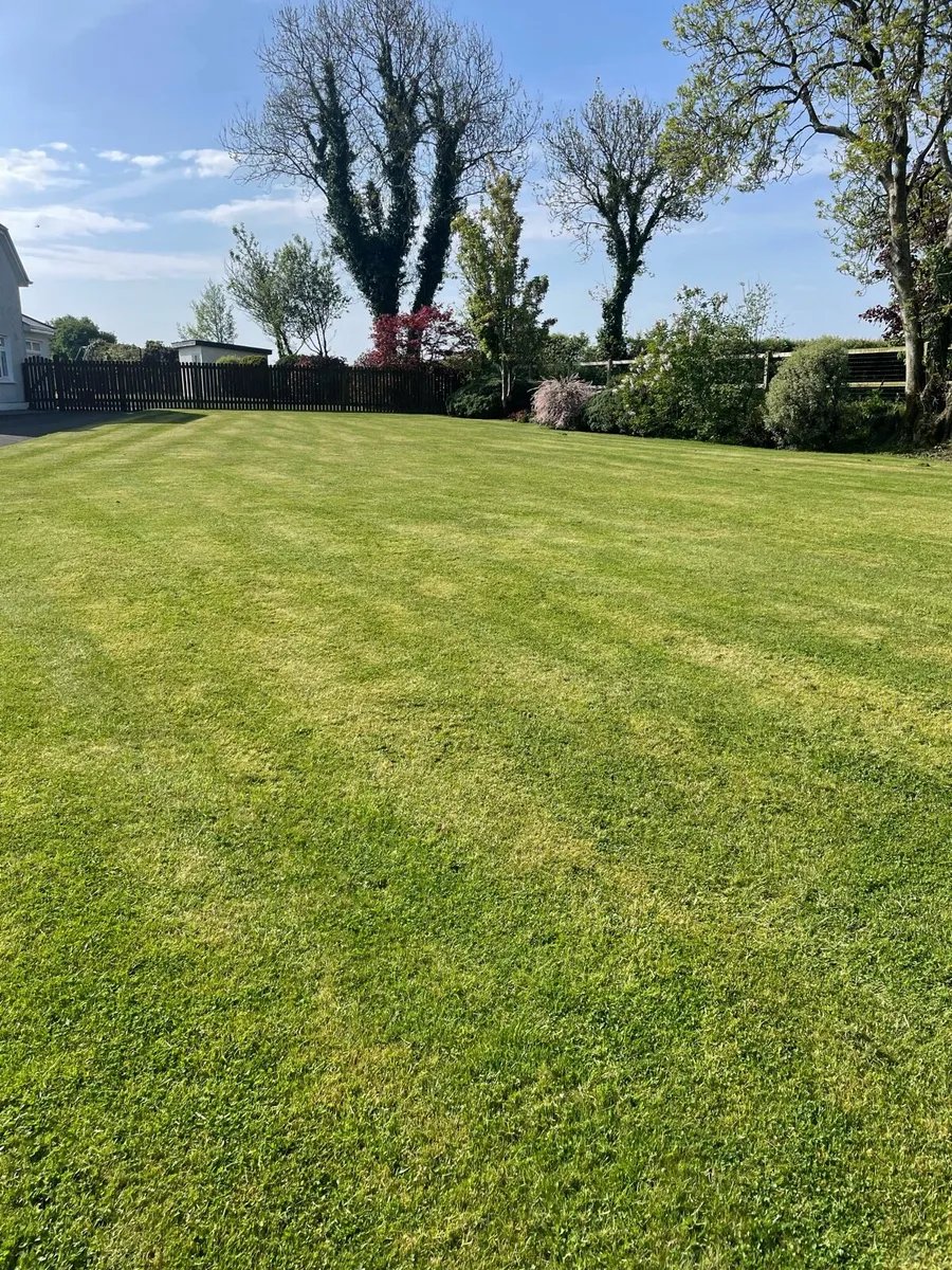 Lawn mowing service - Image 4