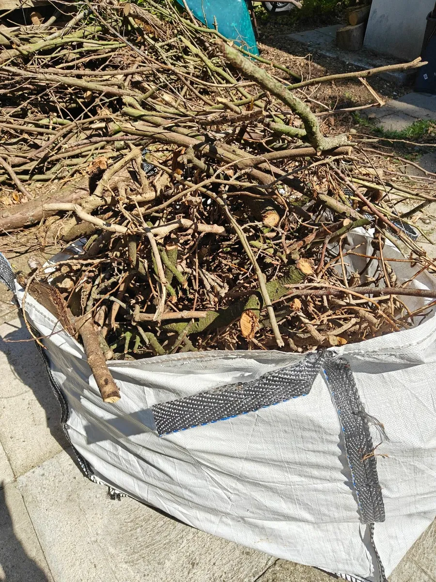 Kindling/firewood - Image 4