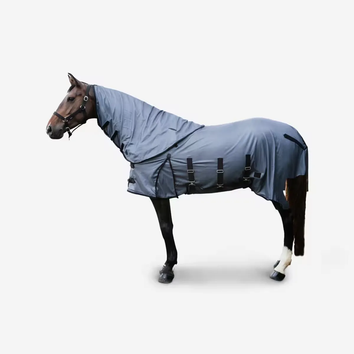 Horse Riding Fly Sheet for Horse and Pony - Image 2