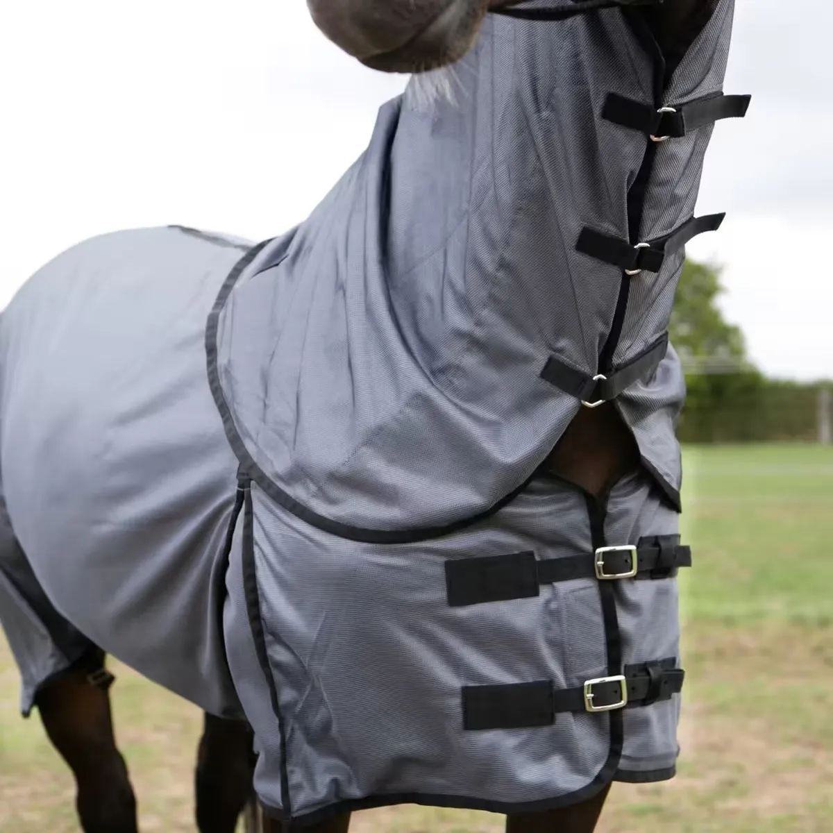 Horse Riding Fly Sheet for Horse and Pony - Image 3