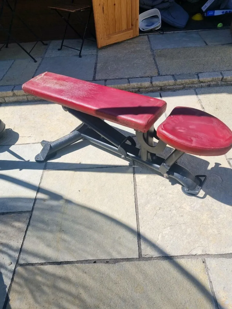 Heavy Commercial Bench - Image 2