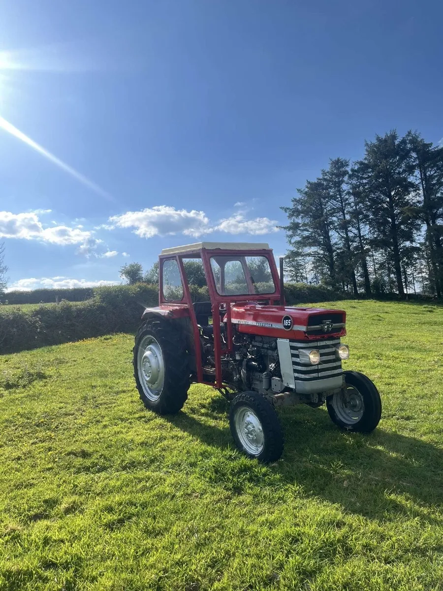 Massey Ferguson 165 - Image 1