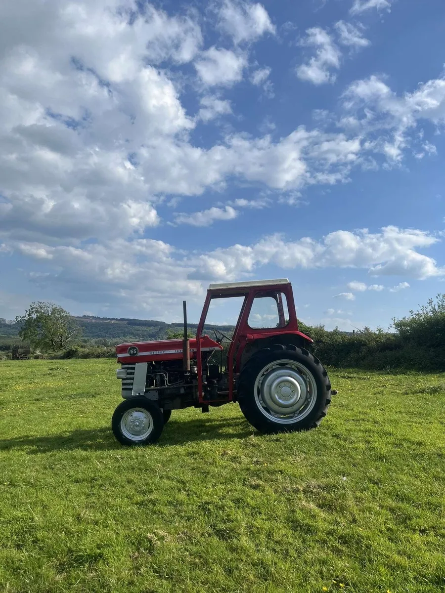 Massey Ferguson 165 - Image 2