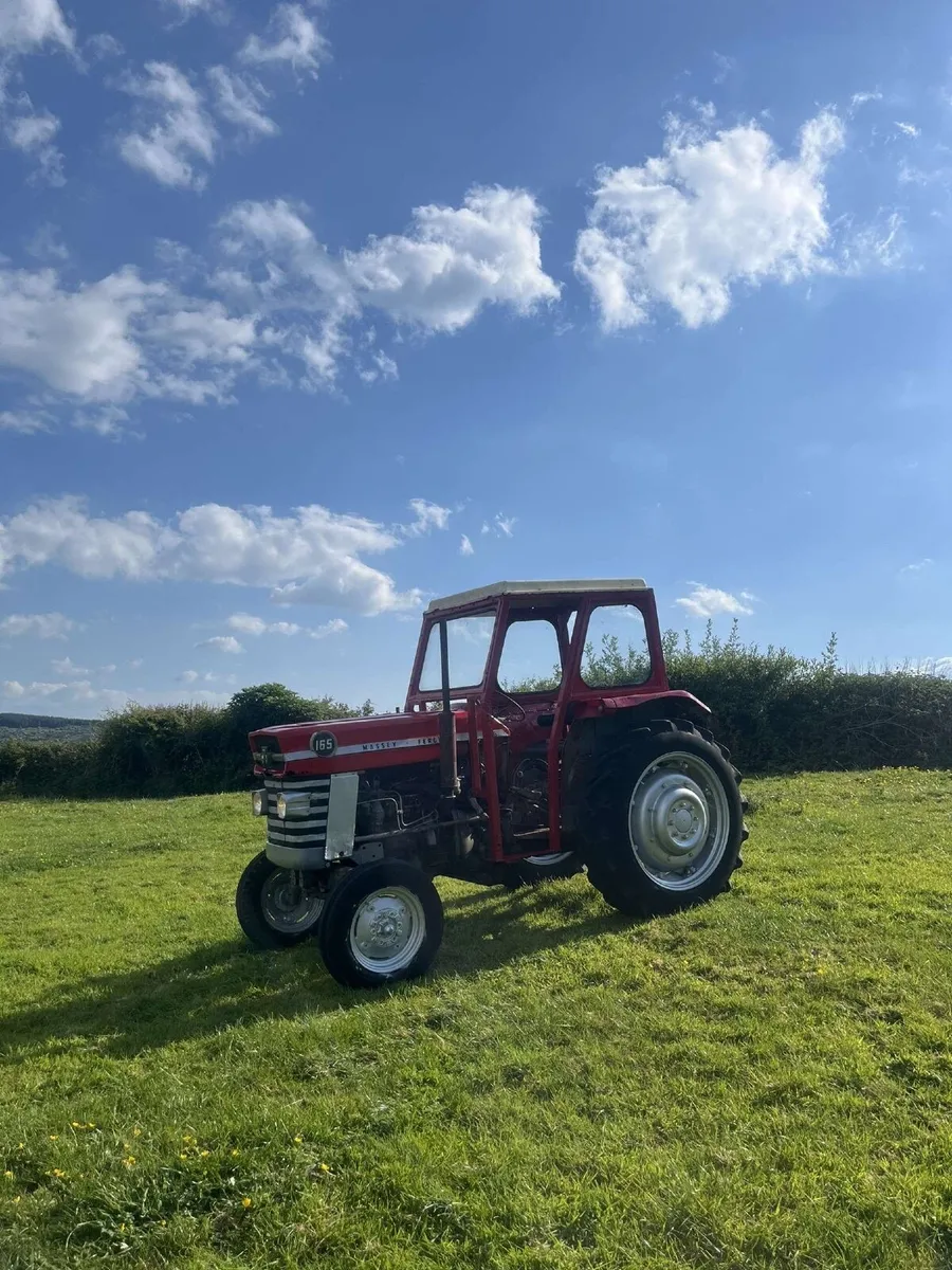 Massey Ferguson 165 - Image 3