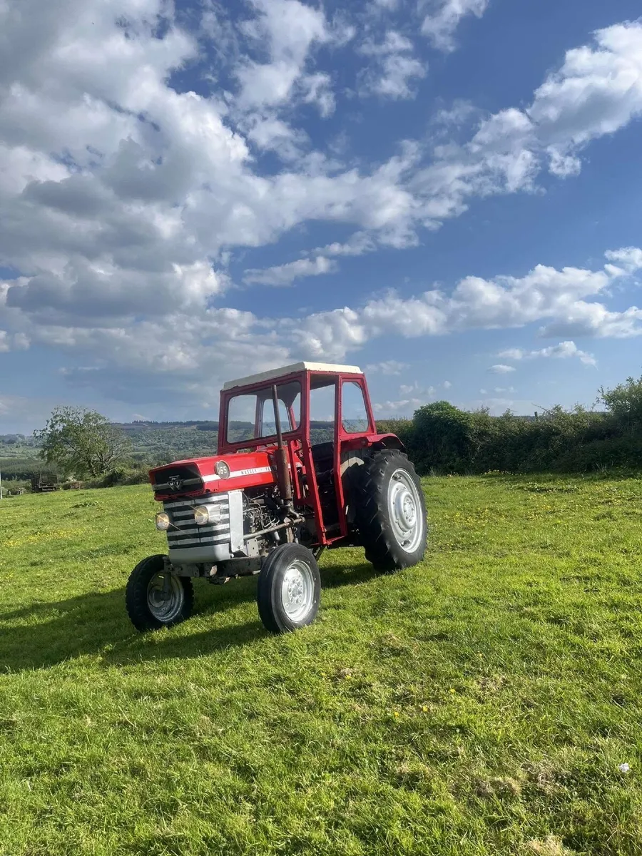 Massey Ferguson 165 - Image 4