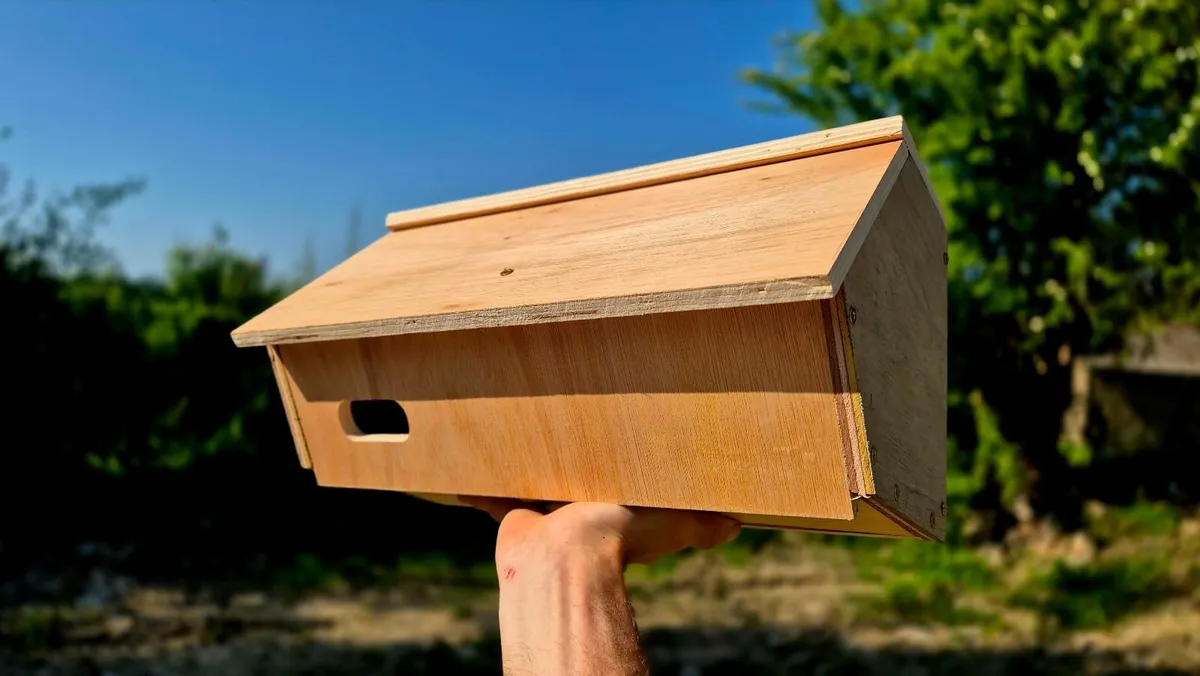 Swift Nest Box (65mmx29mm Entrance) - Image 3