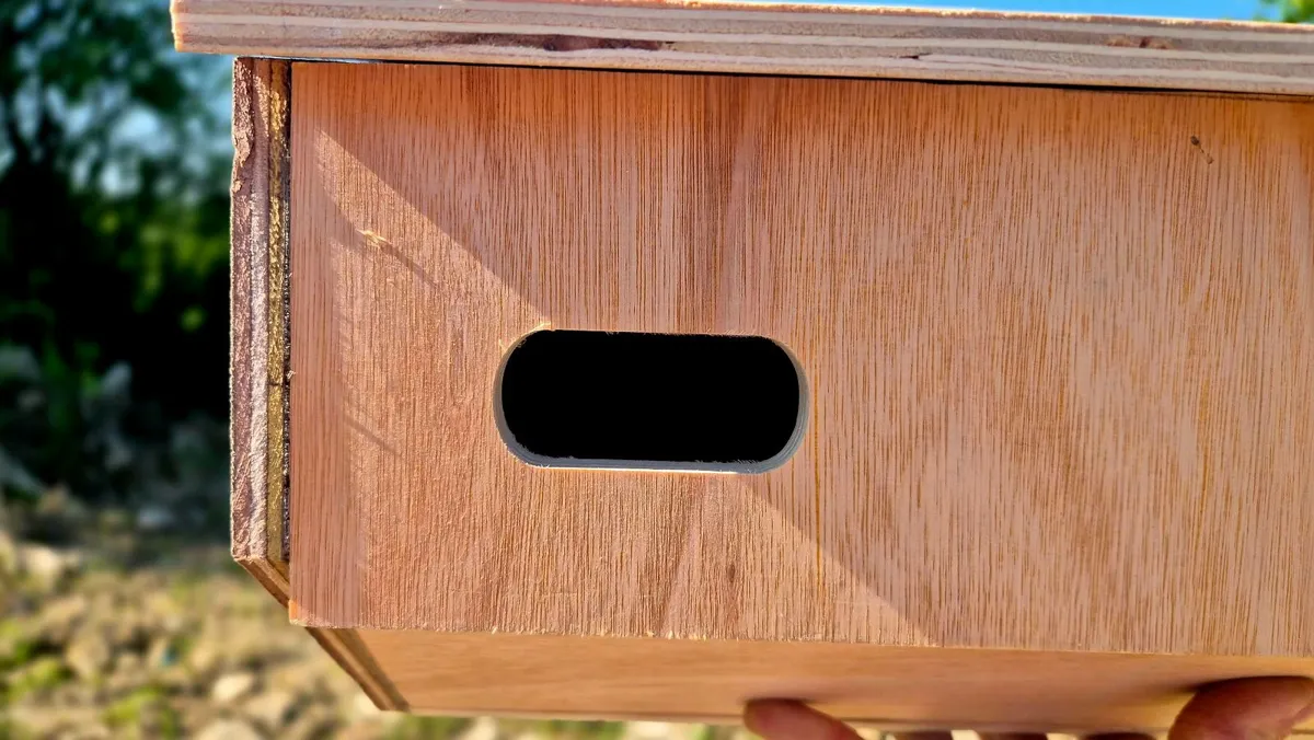 Swift Nest Box (65mmx29mm Entrance) - Image 4