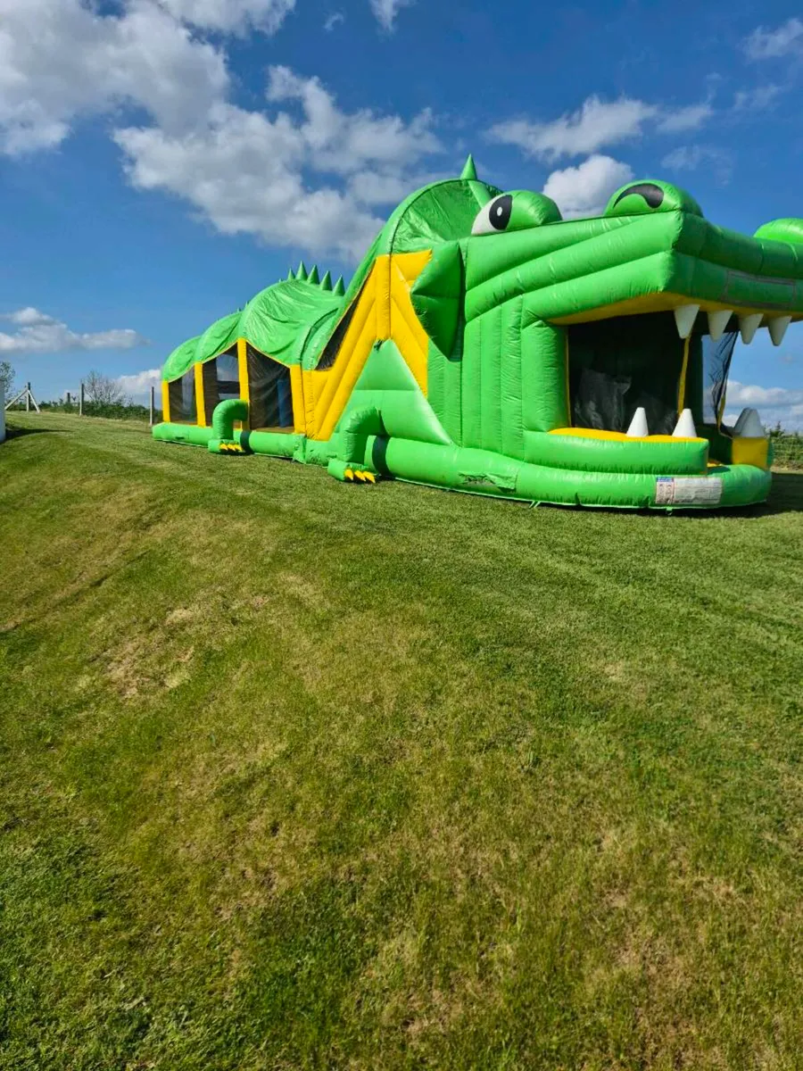 Bouncy castles - Image 2