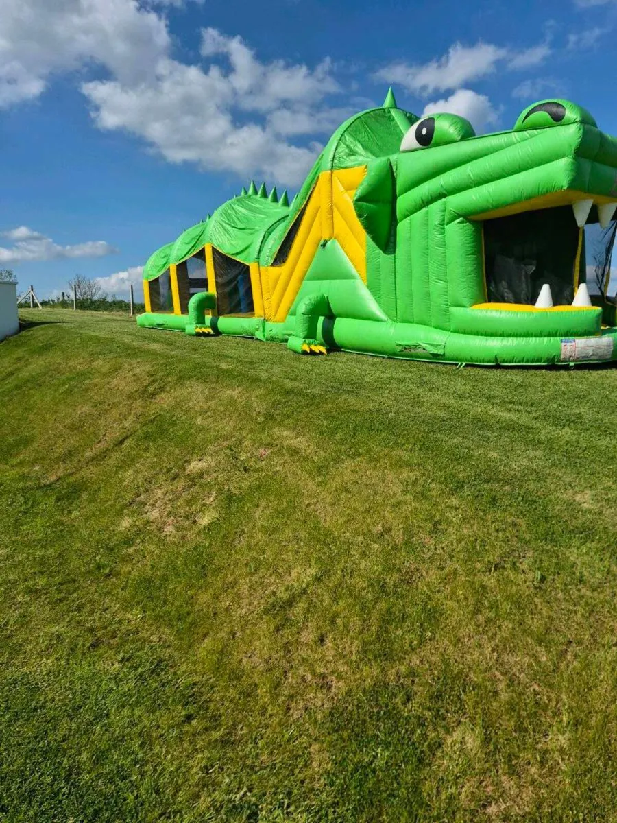 Bouncy castles - Image 1