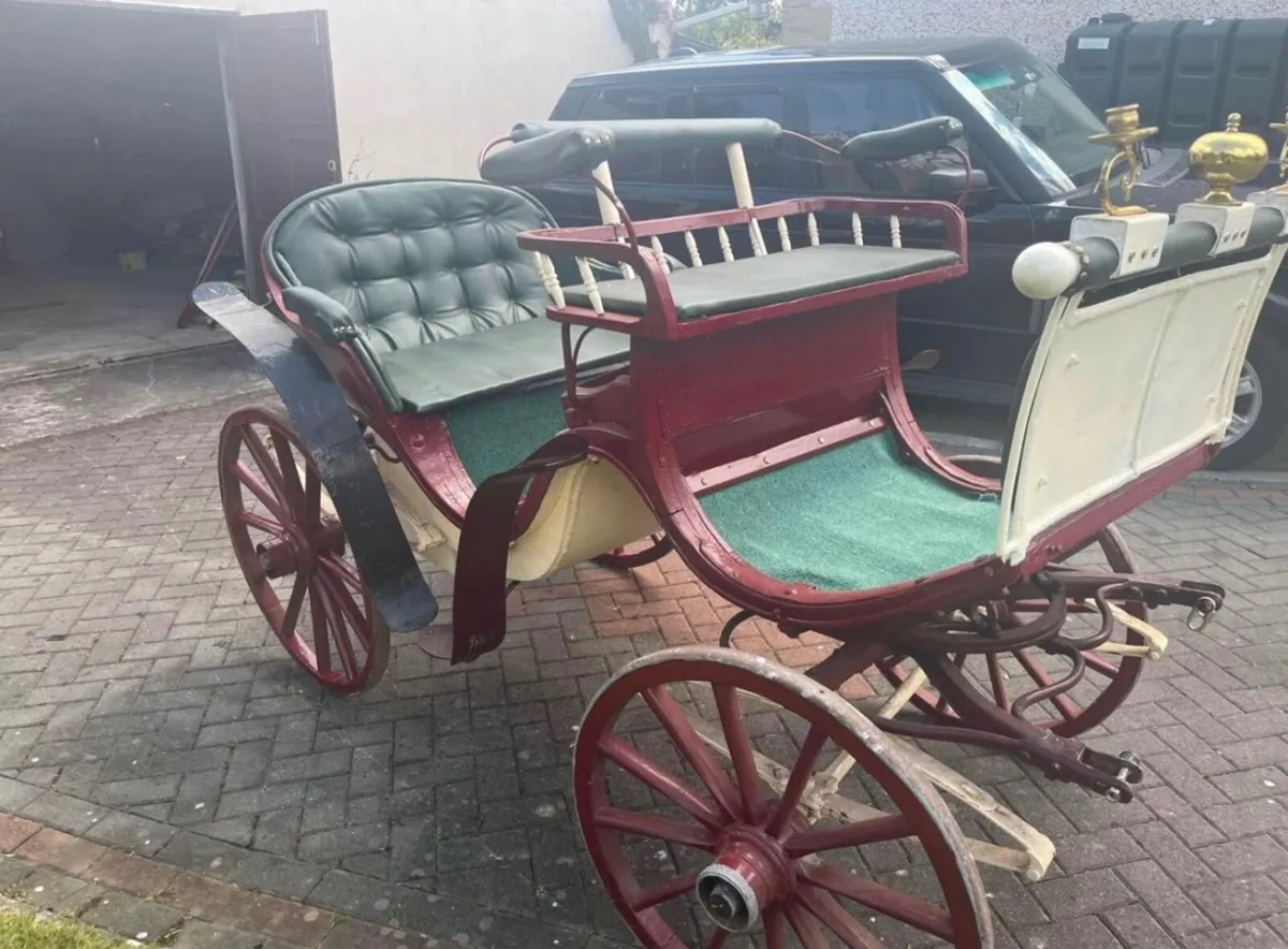 Horse Carriage - Image 1