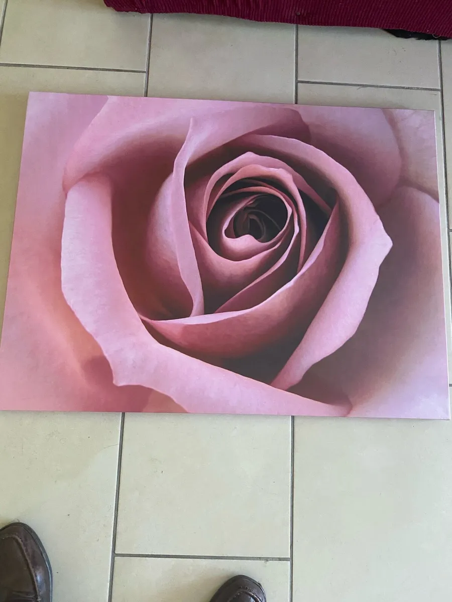 Large Rose Canvas Art - Image 1