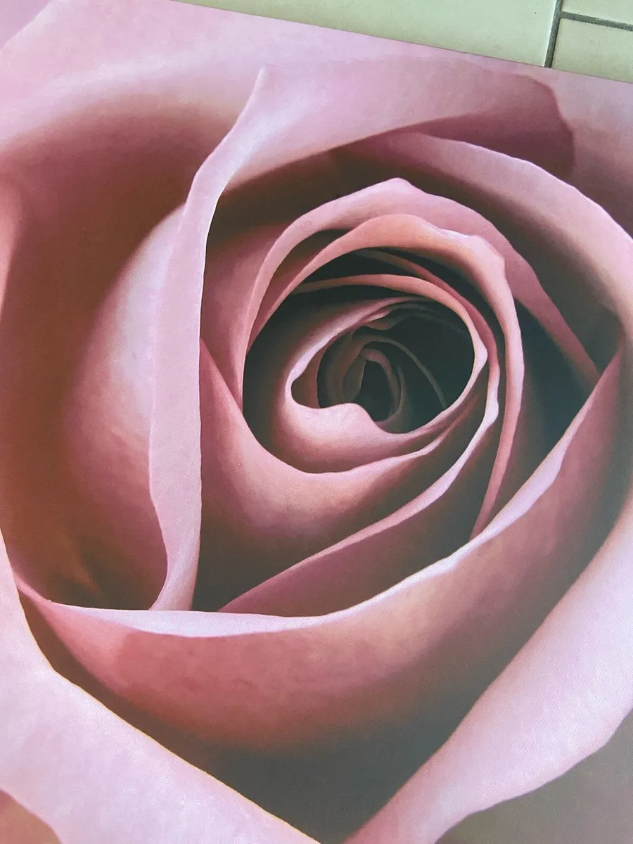 Large Rose Canvas Art - Image 2