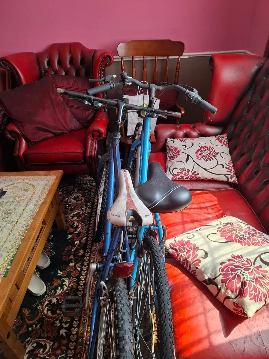 Bike - Image 3