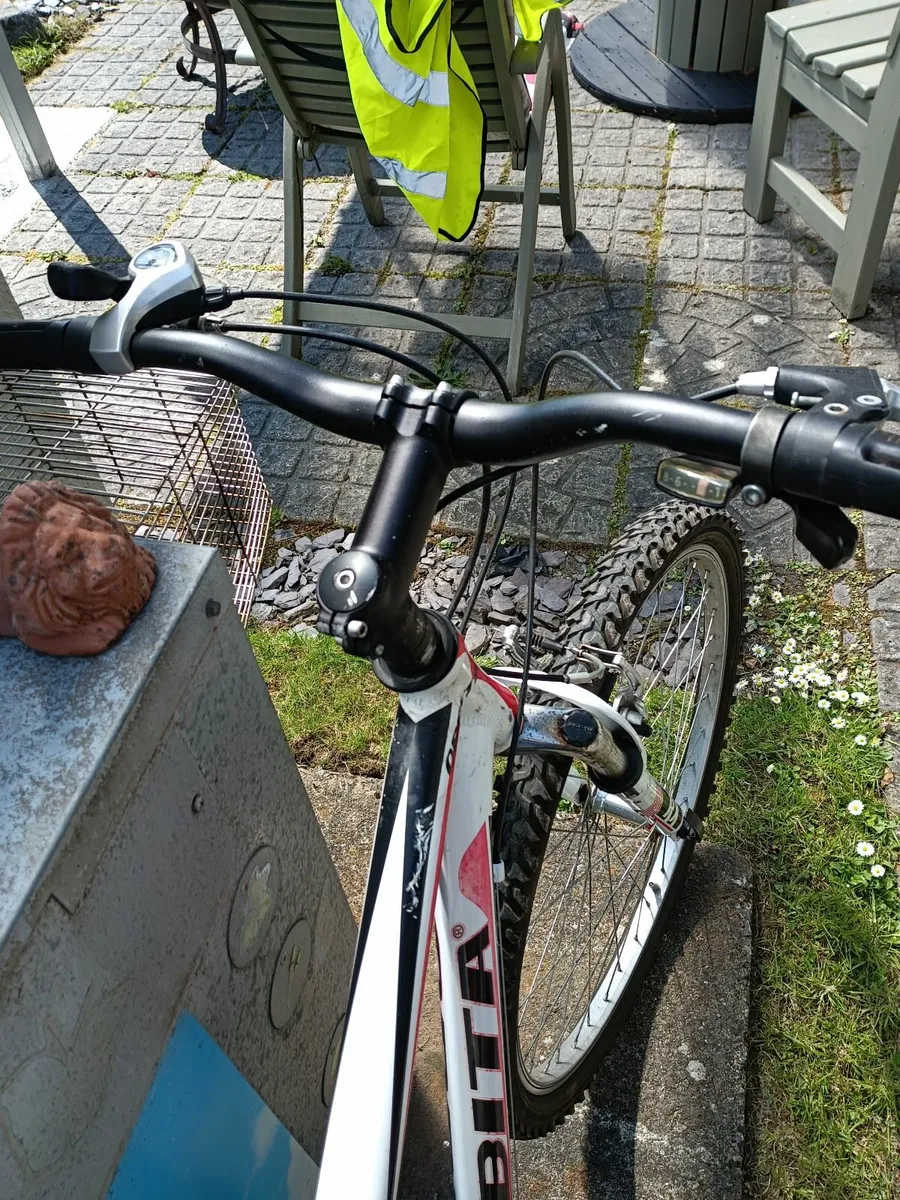 Bicycle - Image 1