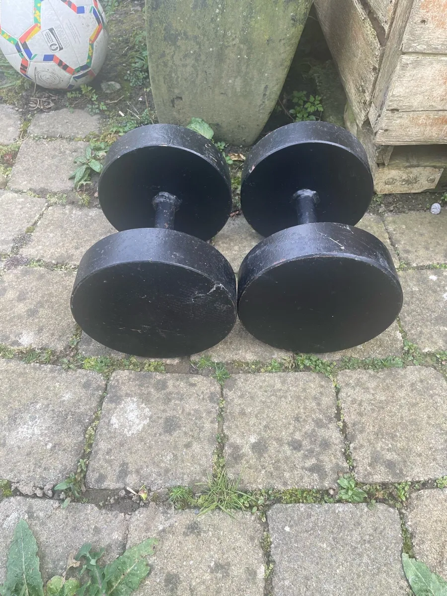 20KG dumbbells
