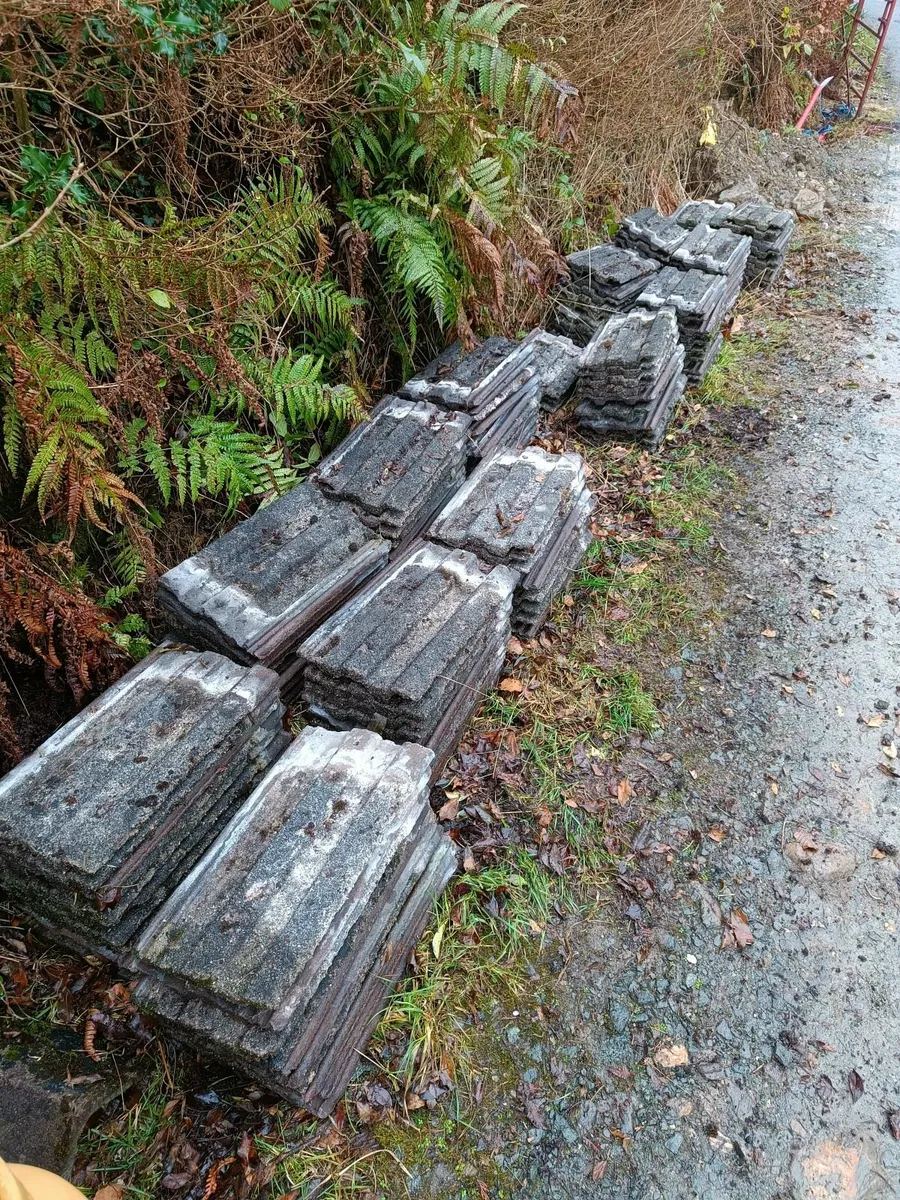 Roof tiles - Image 1