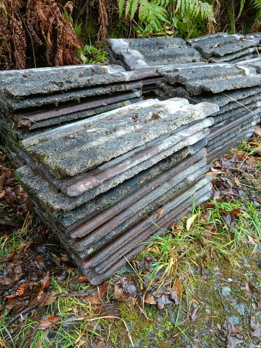Roof tiles - Image 4