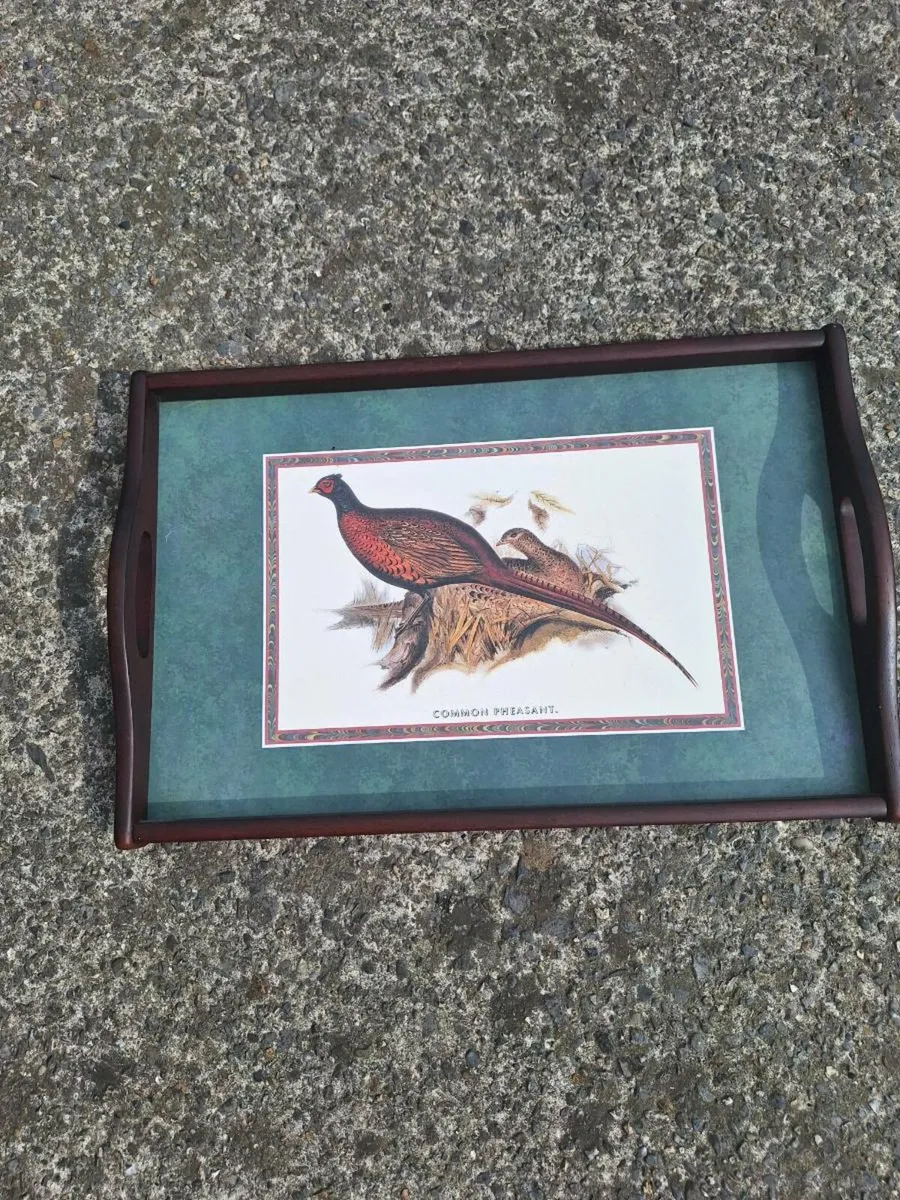 Vintage Cloverleaf tray depicting pheasants - Image 1