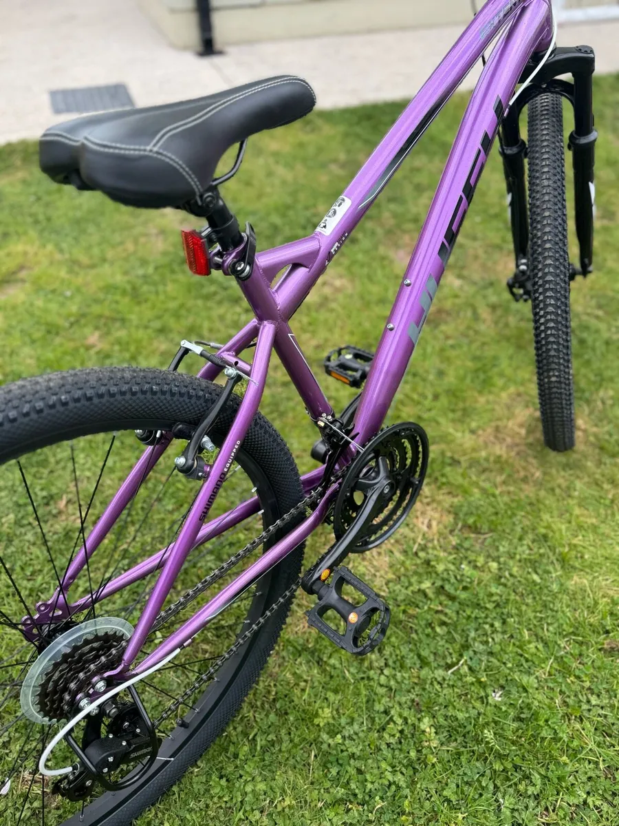 Mountain Bike - Image 4
