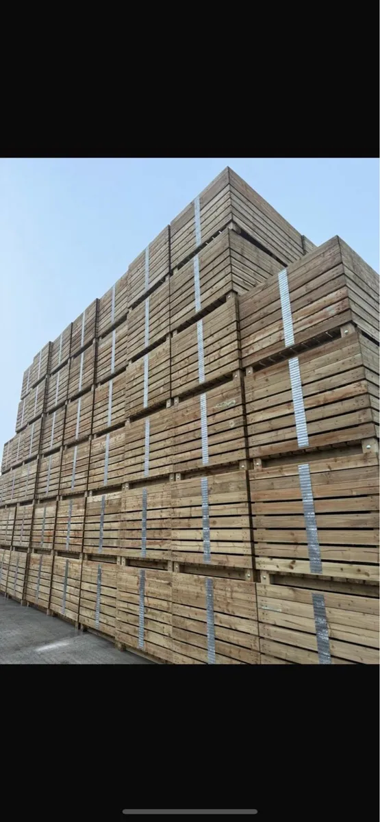 Potato box - Image 1