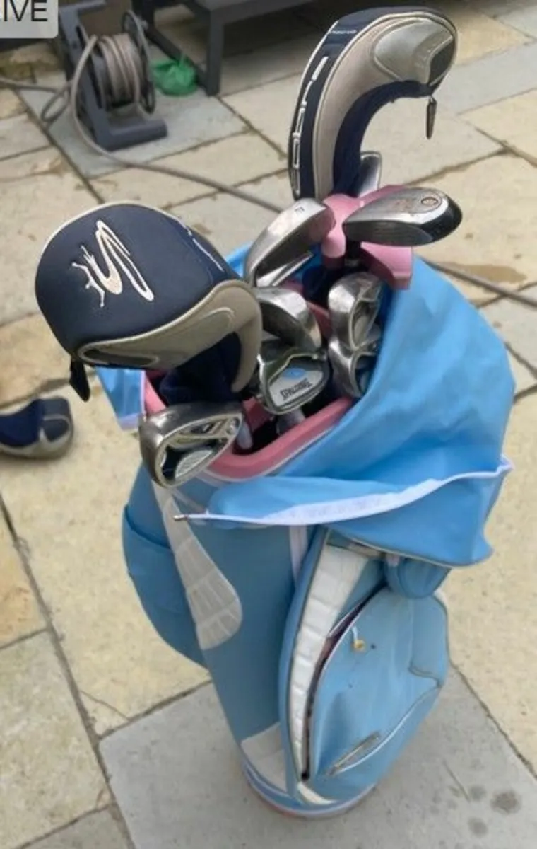 golf bag only - Image 2