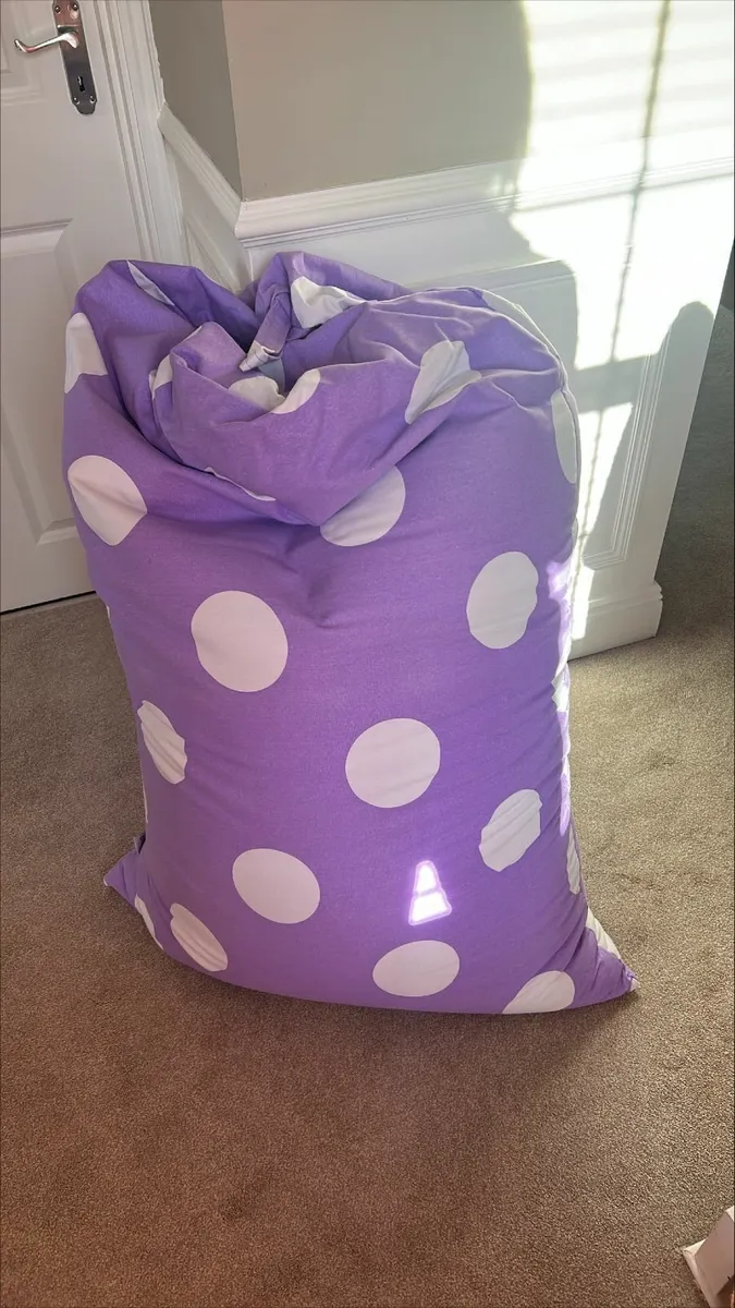 Bean Bag- Removeable Cover - Image 1