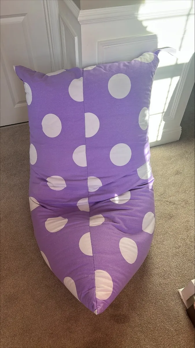 Bean Bag- Removeable Cover - Image 2