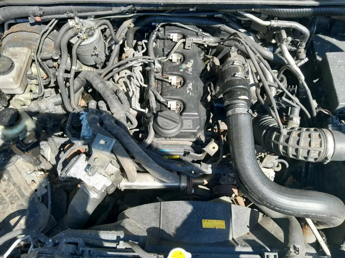 NISSAN PATHFINDER 2007 - Image 2