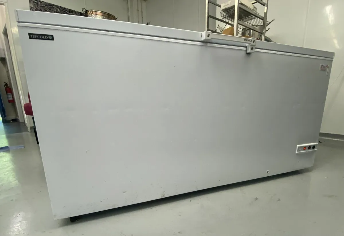 Commercial chest Freezer - Image 2