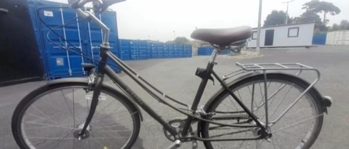 Brand New Trek Electra 7i Step Thru Ladies Bike - Image 1