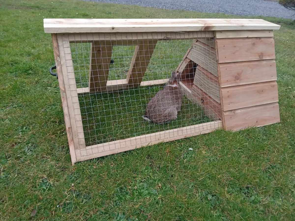 Rabbit Hutches - 💥Nationwide Delivery💥 - Image 3