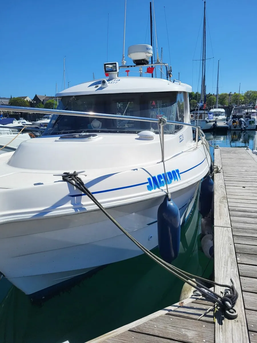 Dell Quay Marlin 650 ( Quicksilver) - Image 4