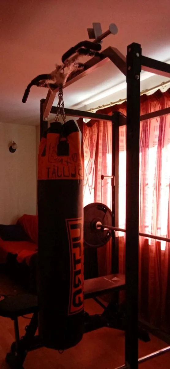 Gym - Image 3