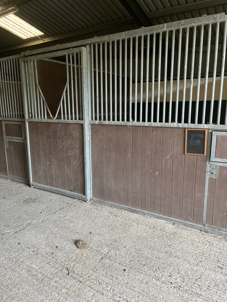 Internal Stables and horse walker - Image 2